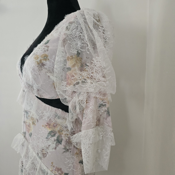 FOR LOVE & LEMONS Pearl Maxi Dress in Blush - Picture 10 of 16